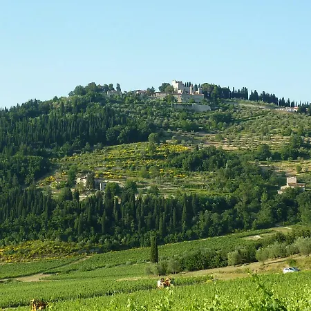 Antica * Pelago